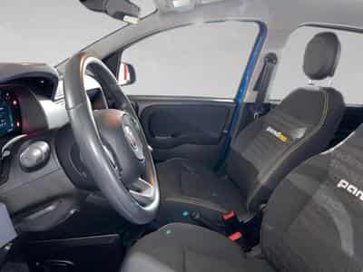 Fiat Panda 1.0 Easy (2024) - Foto 4