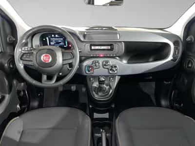 Fiat Panda 1.0 Easy (2024) - Foto 5
