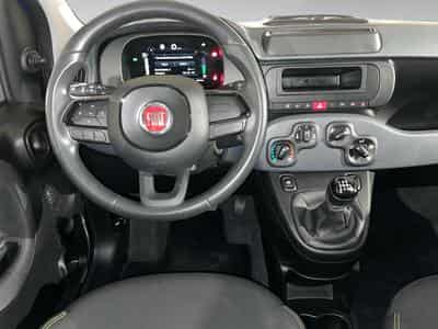 Fiat Panda 1.0 Easy (2024) - Foto 6