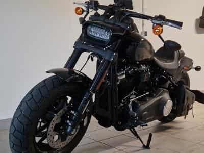 Harley-Davidson Fat Bob Fat Bob 114 (2024) - Photo 1