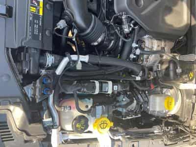 Jeep Wrangler Safari (2020) - Photo 15