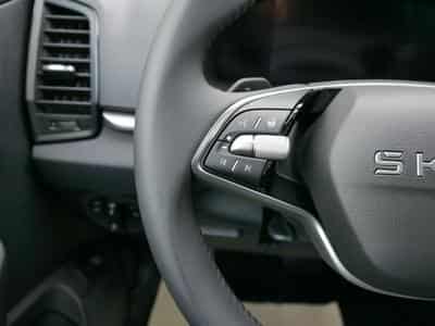 Skoda Karoq Jahre Edoniti (2025) - Foto 14