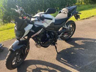 Honda CBF 500 Hornet (2024) - Foto 1
