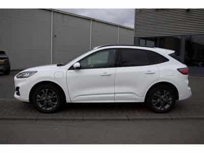 Ford Kuga 2.5 Duratec PHEV ST-Line (2024) - Photo 2