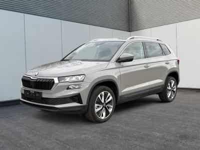 Skoda Karoq Selection (2025) - Photo 1