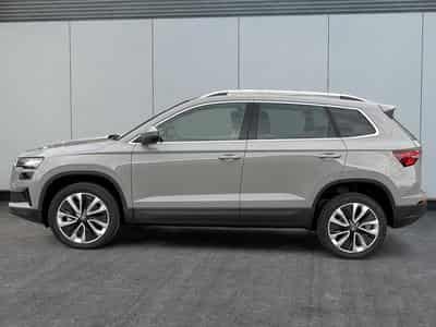 Skoda Karoq Selection (2025) - Photo 2
