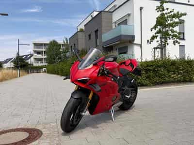 Ducati Panigale V4S (2023) - Foto 8