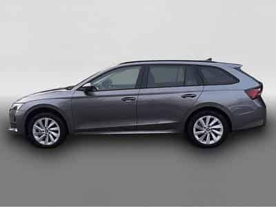 Skoda Octavia (2026) - Photo 4