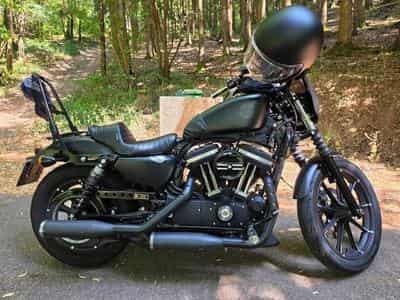 Harley-Davidson Sporster Iron 883 - Black Denim - 2020 model (2020) - Photo 1