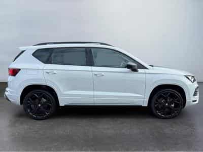 Seat Ateca (2026) - Foto 6
