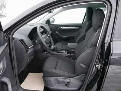 Skoda Karoq (2026) - Foto 10