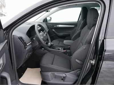 Skoda Karoq (2026) - Foto 9