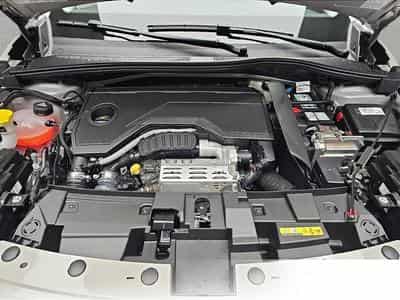 Fiat 600 (2026) - Foto 14