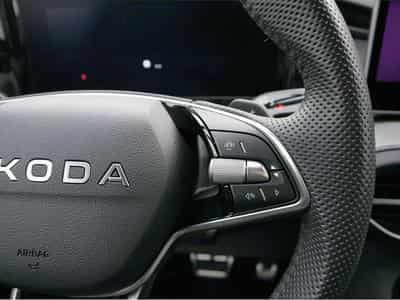 Skoda Kodiaq (2026) - Photo 14