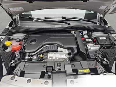 Fiat 600 (2026) - Foto 14