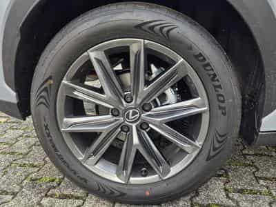 Pneus – 18 - Foto 1