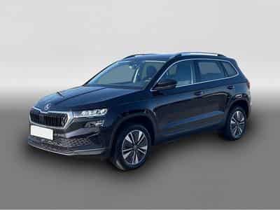 Skoda Karoq (2025) - Photo 1