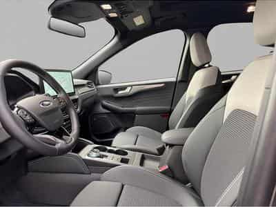 Ford Kuga (2025) - Photo 7