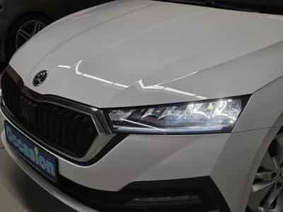 Skoda Octavia TDI 150CV DSG (2020) - Photo 2