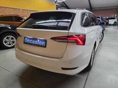 Skoda Octavia TDI 150CV DSG (2020) - Photo 4