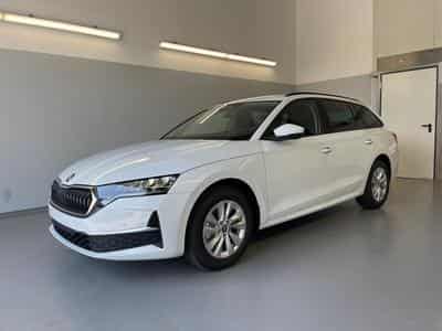 Skoda Octavia Selection (2026) - Foto 1