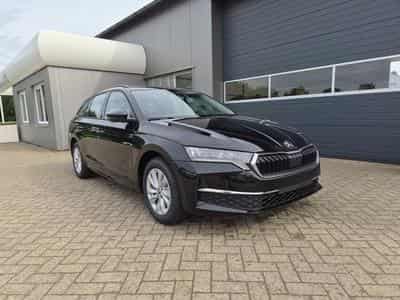 Skoda Octavia 1.5 TSI 150PS (2026) - Foto 8