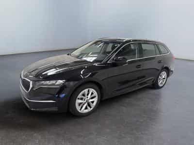 Skoda Octavia Selection (2026) - Foto 3