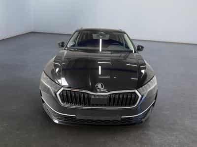 Skoda Octavia Selection (2026) - Foto 2