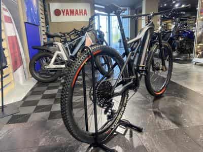 Fantic Rampage 1.4 Race (2026) - Foto 4