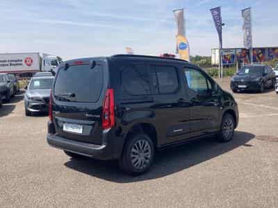 Citroen BERLINGO N1 1.5 BLUE HDI 130 M PLUS EAT8 (2026) - Photo 5