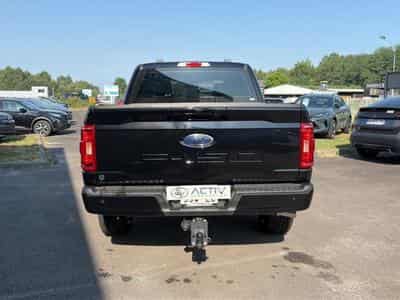 Ford F150 5.0 V8 BIOETHANOL XLT SPORT SUPERCREW (2025) - Photo 6