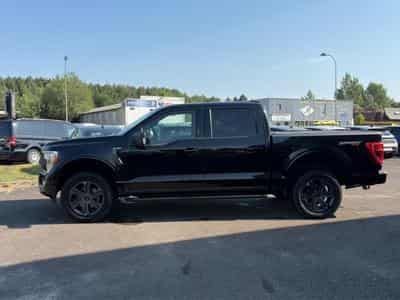 Ford F150 5.0 V8 BIOETHANOL XLT SPORT SUPERCREW (2025) - Photo 8