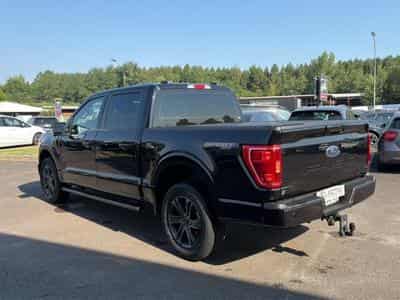 Ford F150 5.0 V8 BIOETHANOL XLT SPORT SUPERCREW (2025) - Photo 7