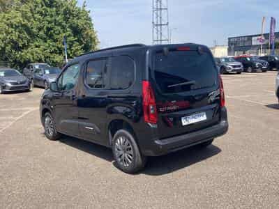 Citroen BERLINGO N1 1.5 BLUE HDI 130 M PLUS EAT8 (2026) - Photo 7