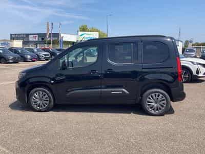 Citroen BERLINGO N1 1.5 BLUE HDI 130 M PLUS EAT8 (2026) - Photo 8