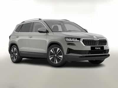 Skoda Karoq Selection (2026) - Foto 1