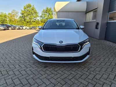 Skoda Octavia 1.5 TSI 150PS (2026) - Foto 8