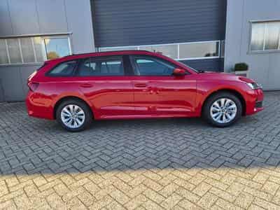 Skoda Octavia 1.5 TSI 150PS (2026) - Foto 6