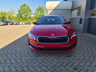 Skoda Octavia 1.5 TSI 150PS (2026) - Foto 8