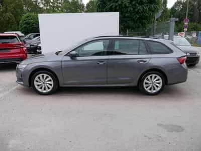 Skoda Octavia Selection (2026) - Foto 4
