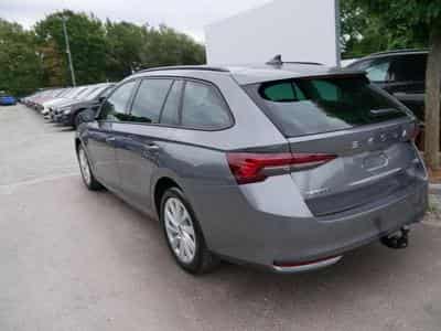 Skoda Octavia Selection (2026) - Foto 5