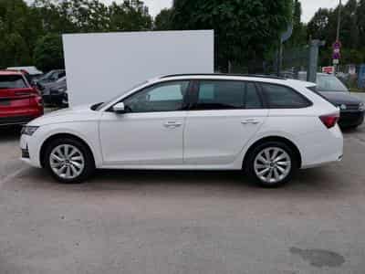 Skoda Octavia Selection (2026) - Foto 4