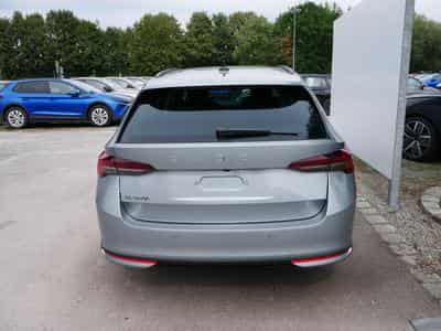 Skoda Octavia Selection (2026) - Foto 2