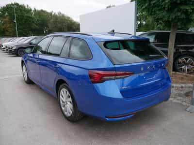 Skoda Octavia Selection (2026) - Foto 5