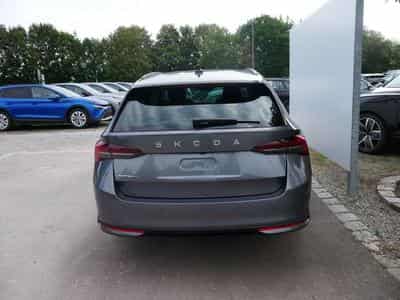 Skoda Octavia Selection (2026) - Foto 2