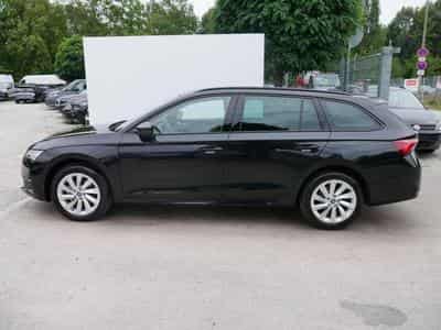 Skoda Octavia Selection (2026) - Foto 4