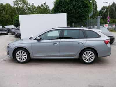 Skoda Octavia Selection (2026) - Foto 4