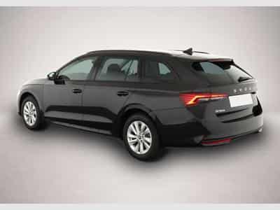 Skoda Octavia (2026) - Photo 4