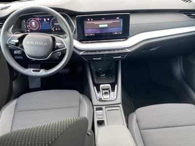 Skoda Octavia (2025) - Foto 7