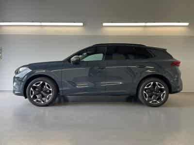 Cupra Terramar Terramar (2026) - Foto 3